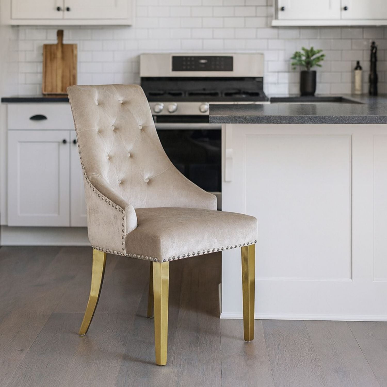 Mink Shimmer Velvet Dining Chair with Lion Knocker and Gold Legs (G Roma)