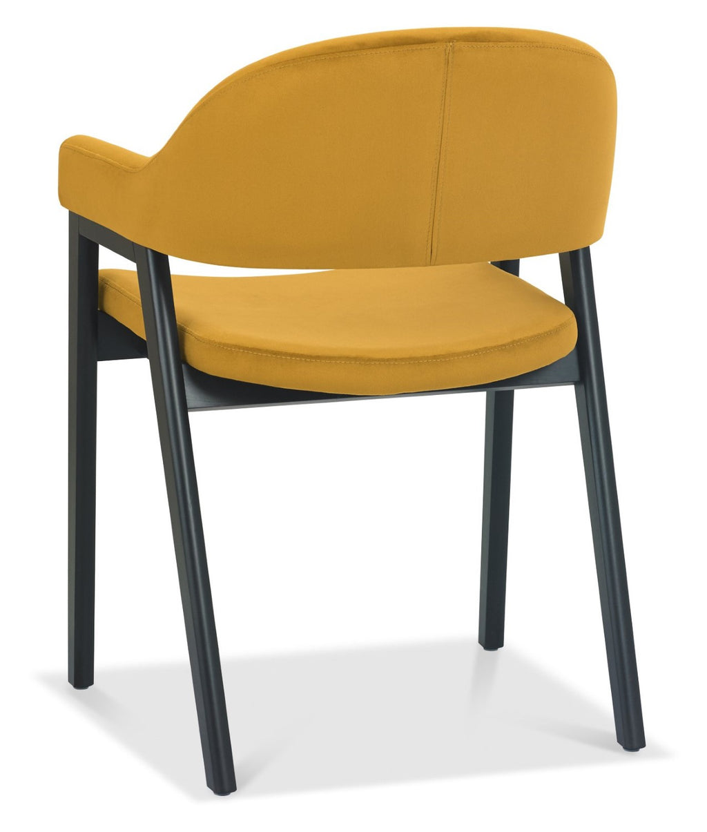 Dark Yellow Velvet Fabric Dining Arm Chair - Home Furniture Interiors