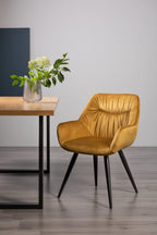 Yellow velvet Bentley Designs dining arm chair with pleated back and pattern, showcasing plush fabric and elegant design.