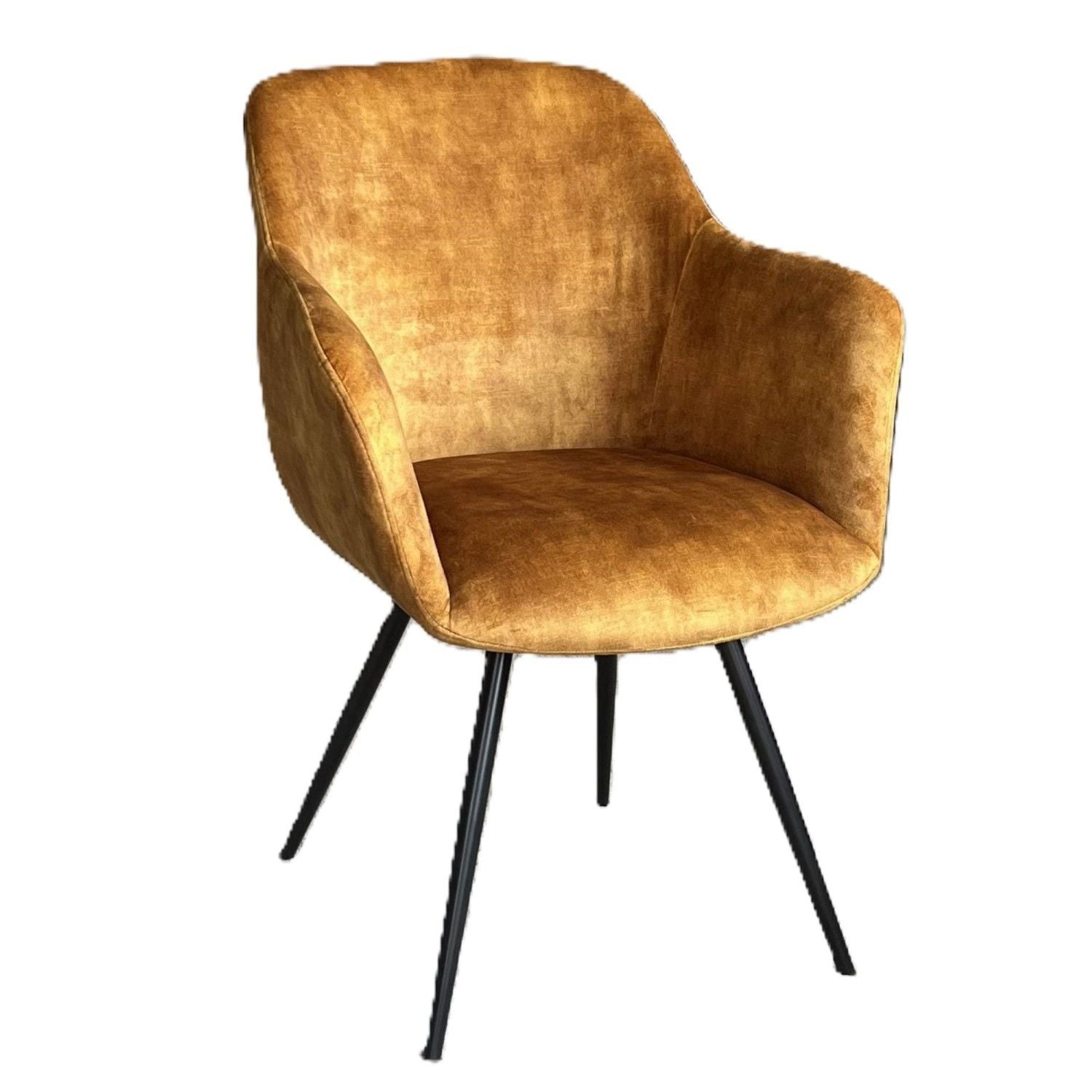 Modern Gold Velvet Dining and Occasional Chair with Black Steel Legs