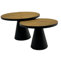 Large Round Wood Veneer Top Coffee Table with Black Cone Base