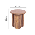 Modern Style Mango Wood Round Side Table with Sculpted Base - Home Furniture Interiors