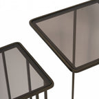 Gold Metal Nest of 2 Tables with Tinted Glass - Home Furniture Interiors